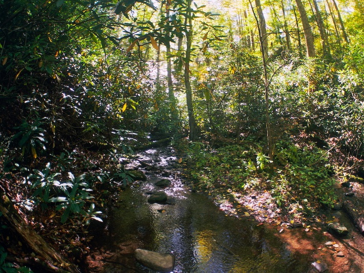 Great Smoky Mountains in the Fall